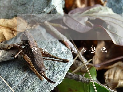 网贷逾期怎么放低 网贷逾期怎么放低