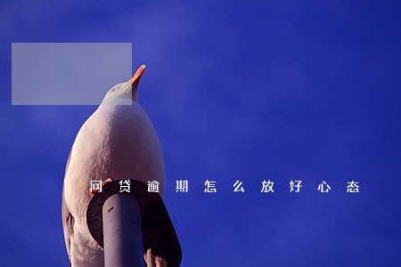 网贷逾期怎么放好心态