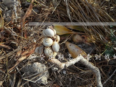 网贷逾期怎么查到我的工资 网贷逾期怎么查到我的工资