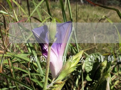 网贷逾期怎么查律师函真伪 网贷逾期怎么查律师函真伪