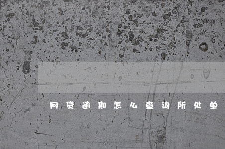 网贷逾期怎么查询所处单位 网贷逾期怎么查询所处单位