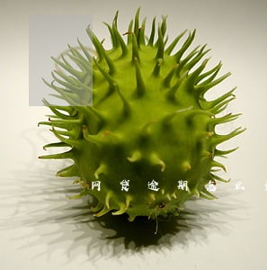 网贷逾期怎么查通讯录 网贷逾期怎么查通讯录