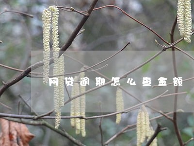 网贷逾期怎么查金额 网贷逾期怎么查金额