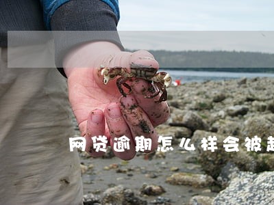 网贷逾期怎么样会被起诉 网贷逾期怎么样会被起诉