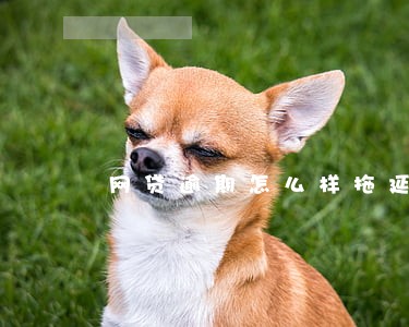 网贷逾期怎么样拖延 网贷逾期怎么样拖延