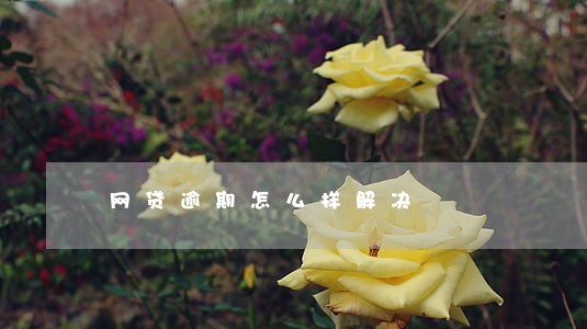 网贷逾期怎么样解决 网贷逾期怎么样解决