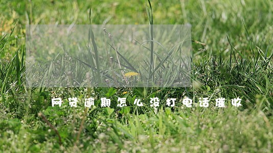 网贷逾期怎么没打电话催收 网贷逾期怎么没打电话催收