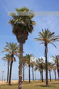 网贷逾期怎么用对 网贷逾期怎么用对