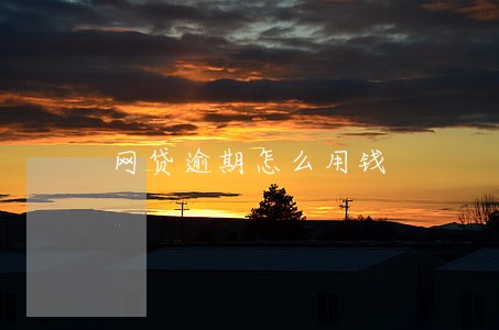 网贷逾期怎么用钱 网贷逾期怎么用钱