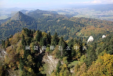 网贷逾期怎么申诉