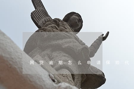 网贷逾期怎么申请保险代偿 网贷逾期怎么申请保险代偿