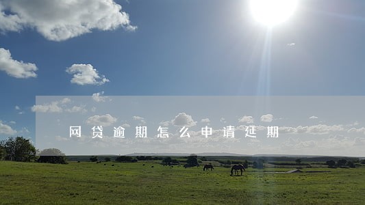 网贷逾期怎么申请延期 网贷逾期怎么申请延期