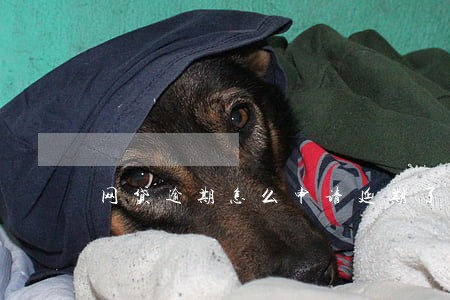 网贷逾期怎么申请延期了 网贷逾期怎么申请延期了