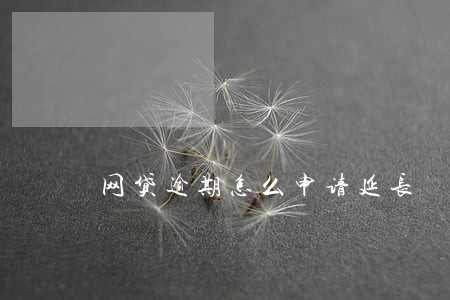 网贷逾期怎么申请延长 网贷逾期怎么申请延长