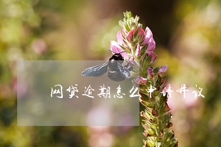 网贷逾期怎么申请异议 网贷逾期怎么申请异议