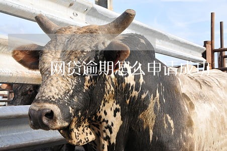 网贷逾期怎么申请成功 网贷逾期怎么申请成功