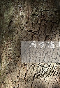 网贷逾期怎么电话催收 网贷逾期怎么电话催收