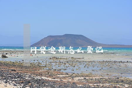 网贷逾期怎么登记 网贷逾期怎么登记