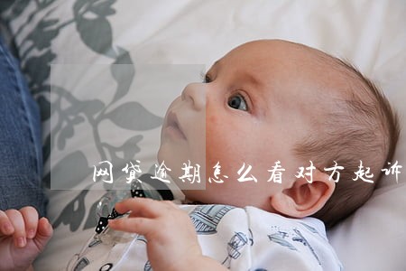 网贷逾期怎么看对方起诉没有 网贷逾期怎么看对方起诉没有