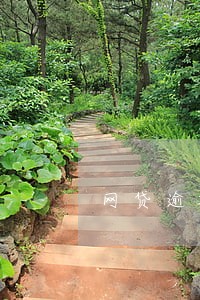 网贷逾期怎么知道我的地址 网贷逾期怎么知道我的地址