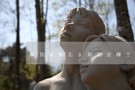 网贷逾期怎么知道是哪个网贷 网贷逾期怎么知道是哪个网贷