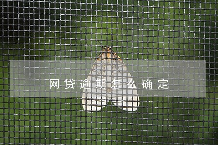 网贷逾期怎么确定 网贷逾期怎么确定