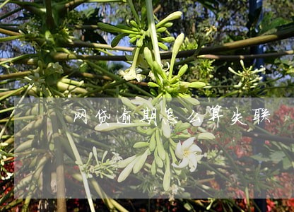 网贷逾期怎么算失联 网贷逾期怎么算失联