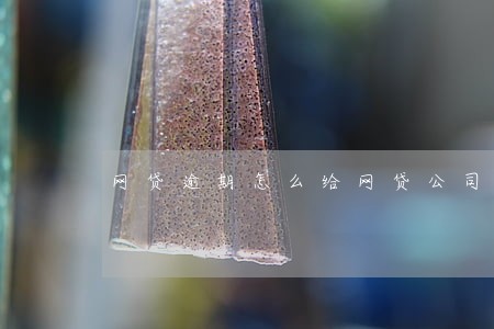 网贷逾期怎么给网贷公司沟通 网贷逾期怎么给网贷公司沟通