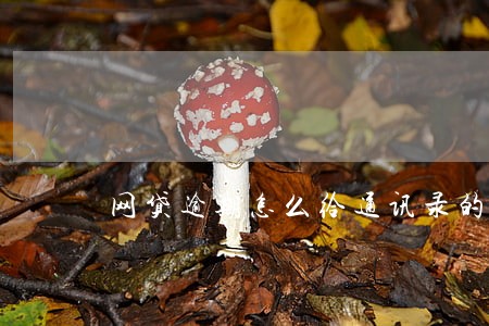 网贷逾期怎么给通讯录的好友解释 网贷逾期怎么给通讯录的好友解释