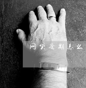网贷逾期怎么继续借 网贷逾期怎么继续借