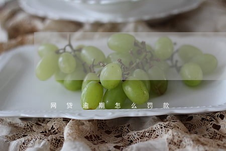 网贷逾期怎么罚款