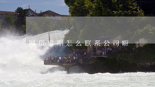 网贷逾期怎么联系公司啦 网贷逾期怎么联系公司啦
