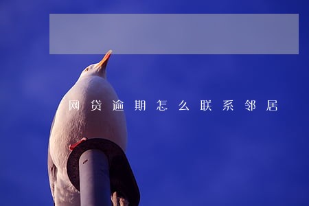 网贷逾期怎么联系邻居 网贷逾期怎么联系邻居