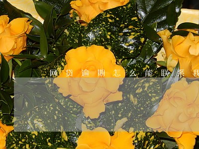网贷逾期怎么能联系我朋友 网贷逾期怎么能联系我朋友