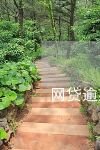 网贷逾期怎么能解绑银行卡