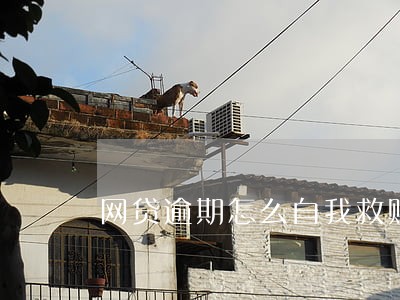 网贷逾期怎么自我救赎