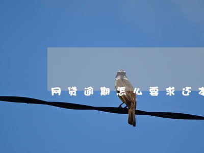 网贷逾期怎么要求还本金 网贷逾期怎么要求还本金