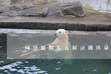 网贷逾期怎么解决通讯录 网贷逾期怎么解决通讯录