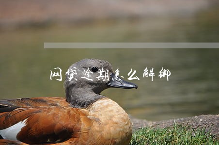网贷逾期怎么解绑