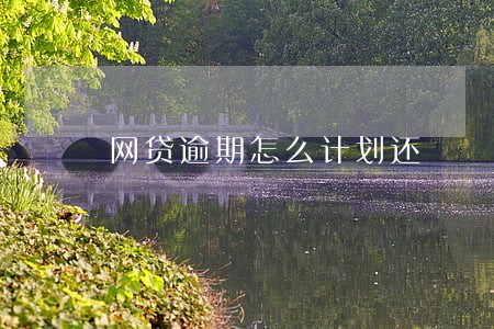 网贷逾期怎么计划还 网贷逾期怎么计划还