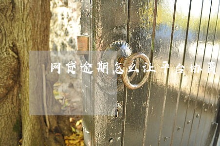 网贷逾期怎么让平台协商 网贷逾期怎么让平台协商