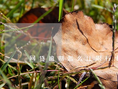 网贷逾期怎么让银行卡 网贷逾期怎么让银行卡