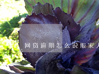 网贷逾期怎么说服家人换电话号码 网贷逾期怎么说服家人换电话号码