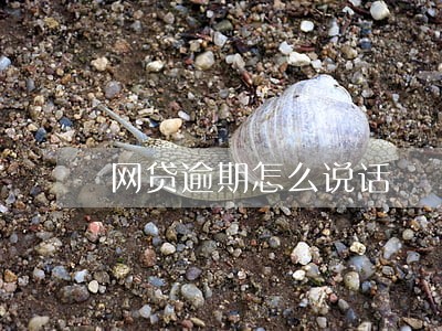 网贷逾期怎么说话 网贷逾期怎么说话