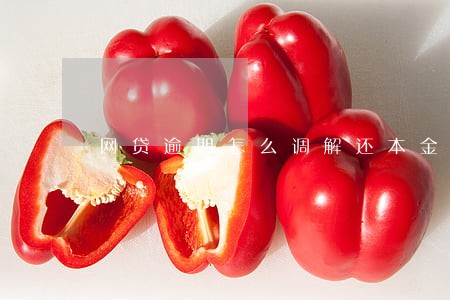 网贷逾期怎么调解还本金