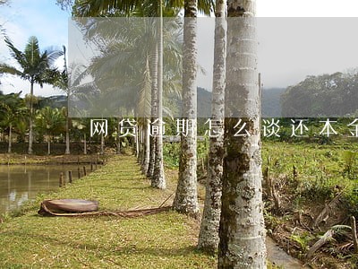 网贷逾期怎么谈还本金 网贷逾期怎么谈还本金