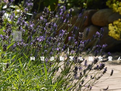 网贷逾期怎么跟家里人讲 网贷逾期怎么跟家里人讲