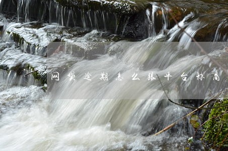 网贷逾期怎么跟平台协商还款 网贷逾期怎么跟平台协商还款