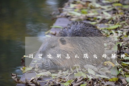 网贷逾期怎么跟父母解释 网贷逾期怎么跟父母解释