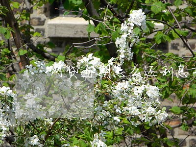 网贷逾期怎么还利息高